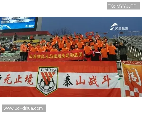 鲁能主场迎战佛柔期待精彩对决球迷热情高涨助威球队 鲁能主场迎战佛柔期待精彩对决球迷热情高涨助威球队