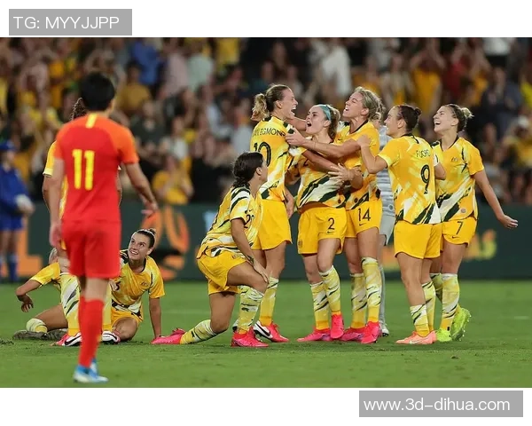 法国女足对决尼日尔女足精彩赛事分析与战术解析