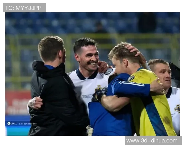 波黑与爱尔兰激战欧洲杯预选赛双方争夺晋级机会