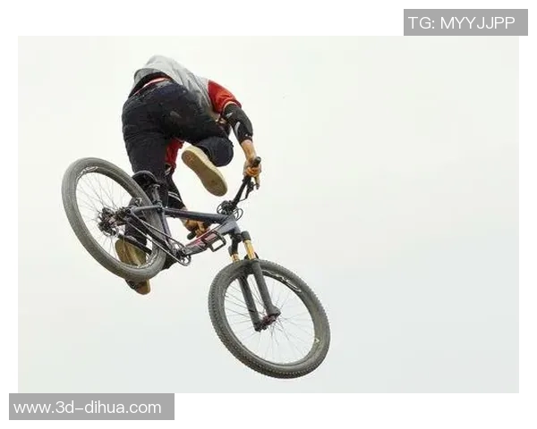 成都极限运动队心理素质分析及其对竞技表现的影响研究MBA